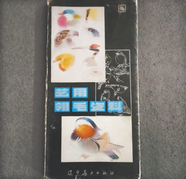 升富策略 《艺用翎毛资料》：一本绘画书引我走向自然文学创作路