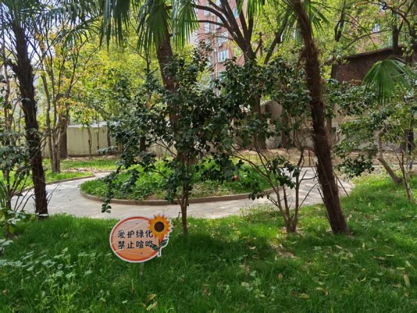 卓盛国际 这个中心城区老小区由内而外“焕然一新”，靠的是……