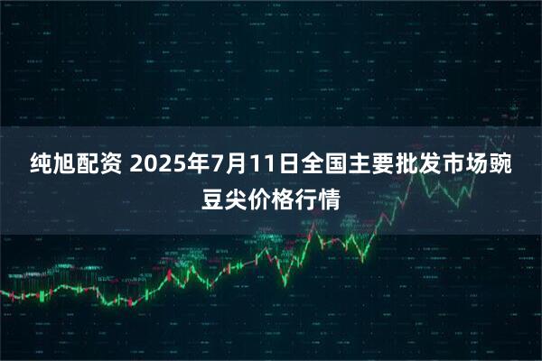 纯旭配资 2025年7月11日全国主要批发市场豌豆尖价格行情