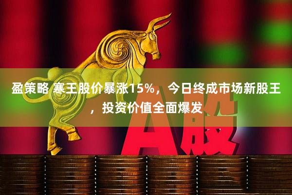 盈策略 寒王股价暴涨15%，今日终成市场新股王，投资价值全面爆发